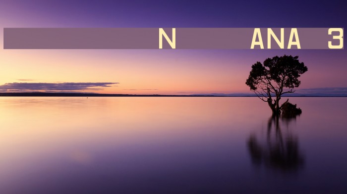 Registration Number ANA v3 Font examples