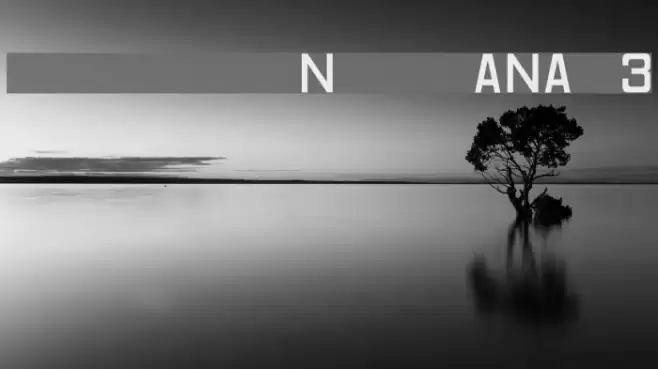 Registration Number ANA v3 フォント examples