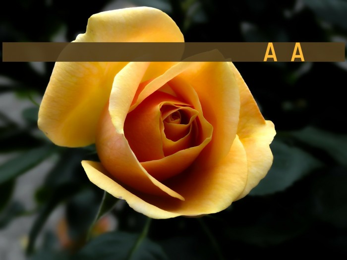 Registration Number ANA.ttf Font examples