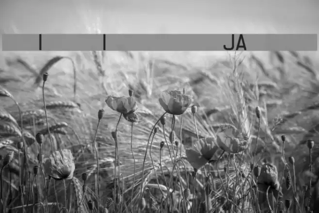 Registration Number JAL L.ttf फ़ॉन्ट examples