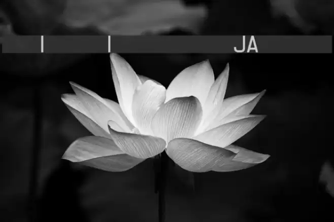 Registration Number JAL L.ttf फ़ॉन्ट examples