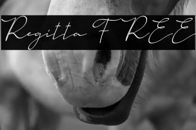 Regitta FREE Font examples