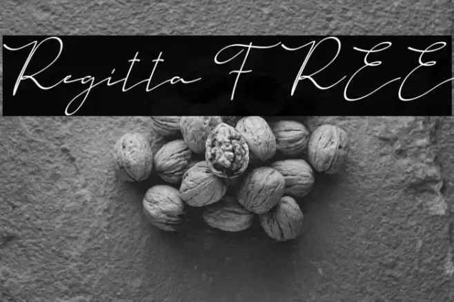 Regitta FREE Font examples