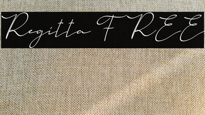 Regitta FREE Example 3