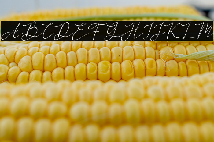 RegittaFREE Example 3