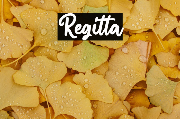 Regitta Example 1