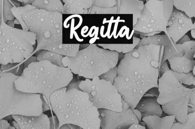 Regitta Font examples
