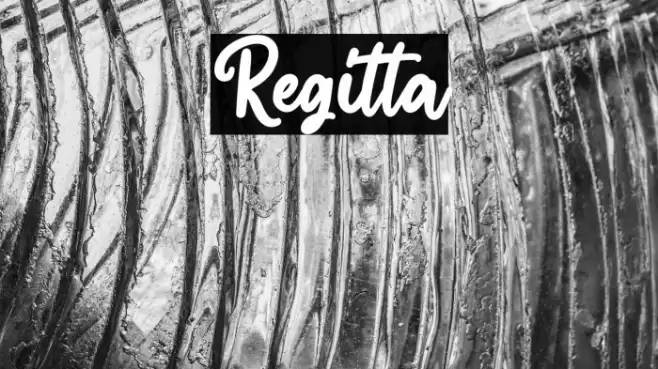 Regitta Font examples