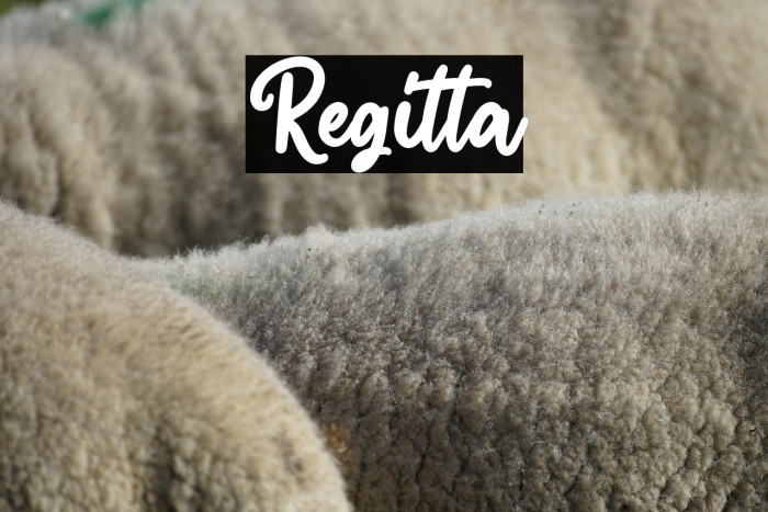 Regitta Example 3