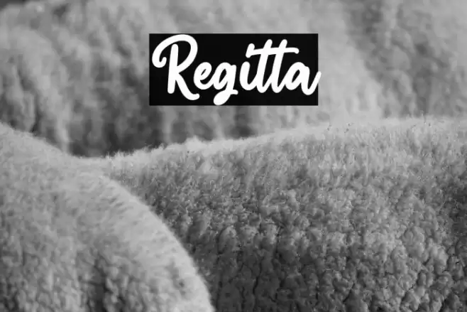 Regitta Font examples