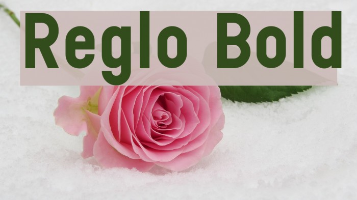 Reglo Bold Font examples