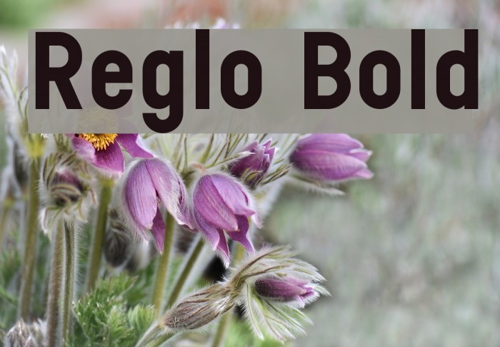 Reglo Bold Font examples