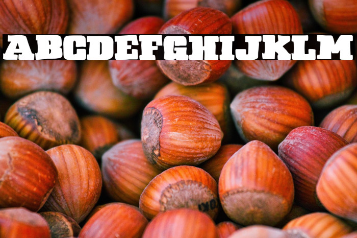 Regnum European Club Example 3