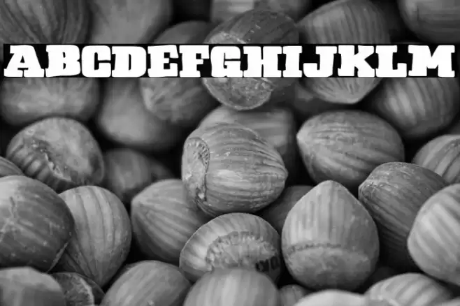 Regnum European Club フォント examples