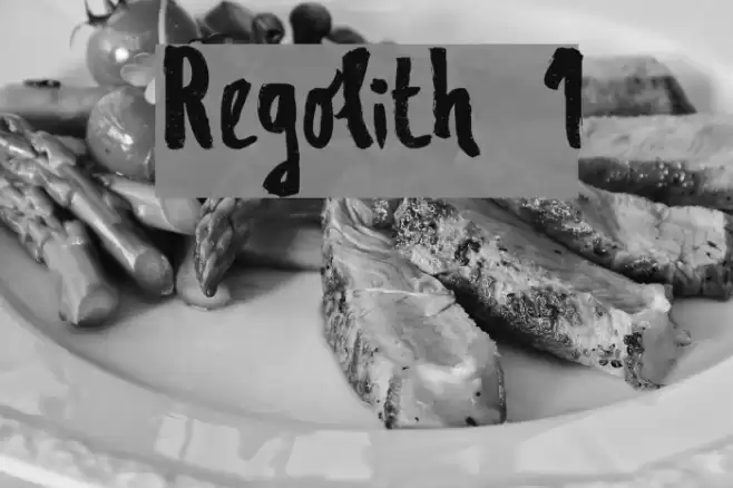 Regolith 1 Font examples