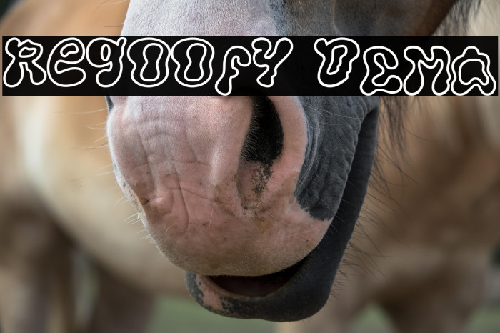 Regoofy DEMO Example 2