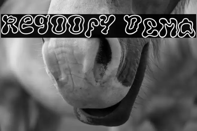 Regoofy DEMO Caratteri examples