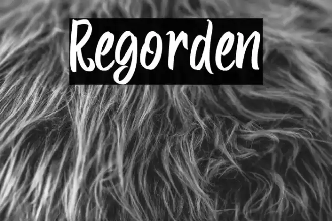 Regorden Font examples