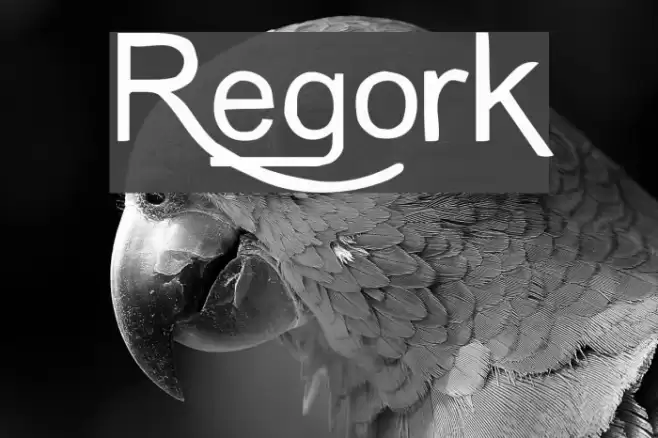 Regork Font examples