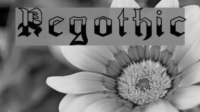 Regothic Font examples