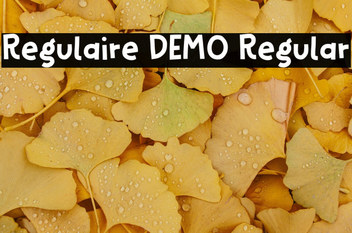 Regulaire DEMO Regular Example 1