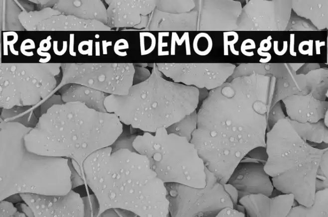 Regulaire DEMO Regular Fuentes examples