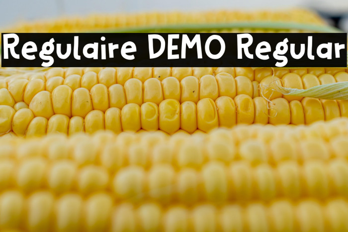 Regulaire DEMO Regular Example 2