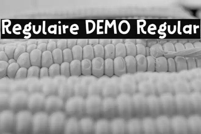 Regulaire DEMO Regular Fuentes examples