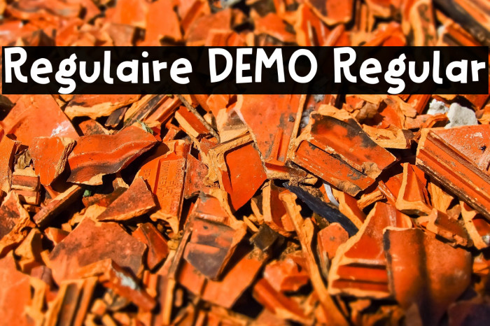 Regulaire DEMO Regular Example 3