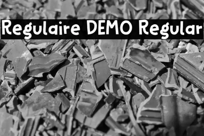 Regulaire DEMO Regular Fuentes examples
