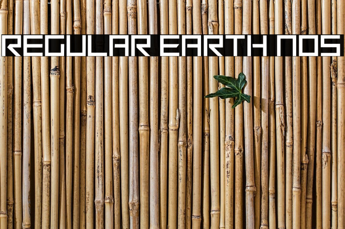 Regular Earth Nos Font examples