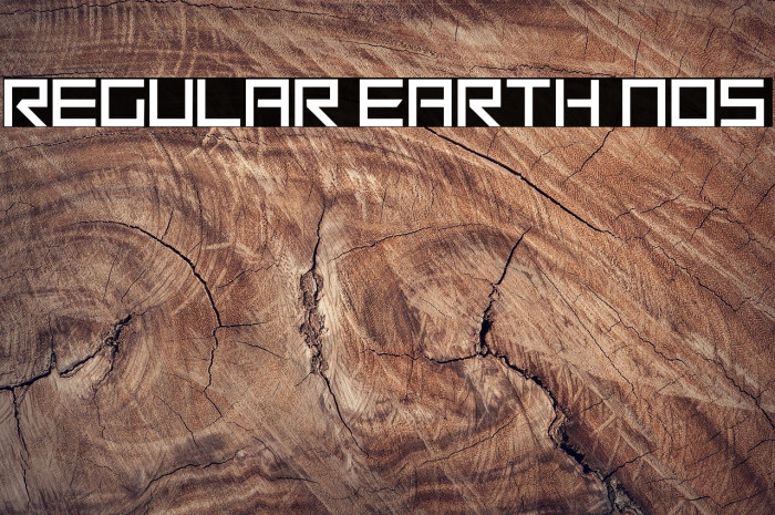 Regular Earth Nos Font examples