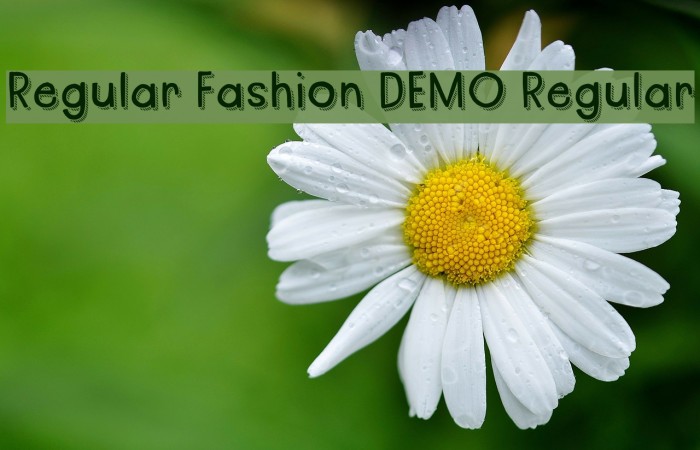 Regular Fashion DEMO Regular Font examples