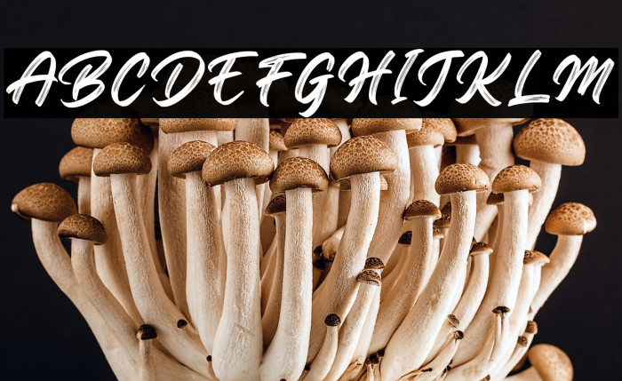 RegularBrush Example 2