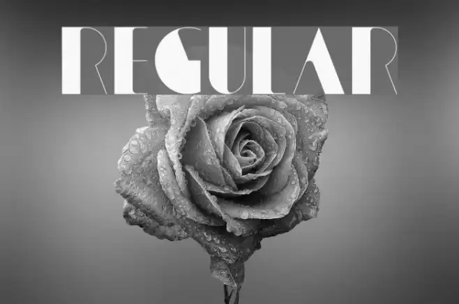 Regular Font examples