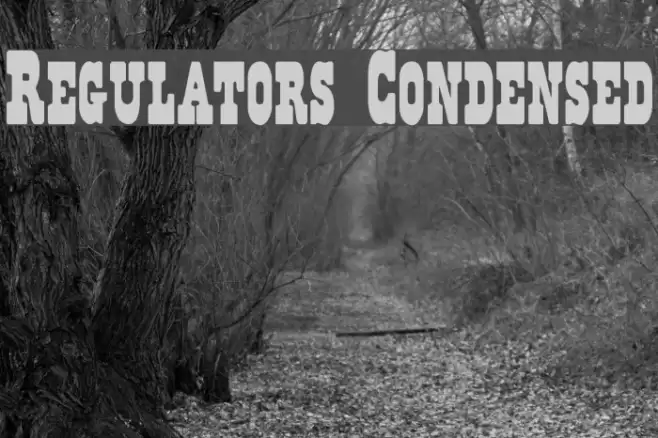 Regulators Condensed Font examples