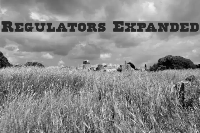 Regulators Expanded Fuentes examples