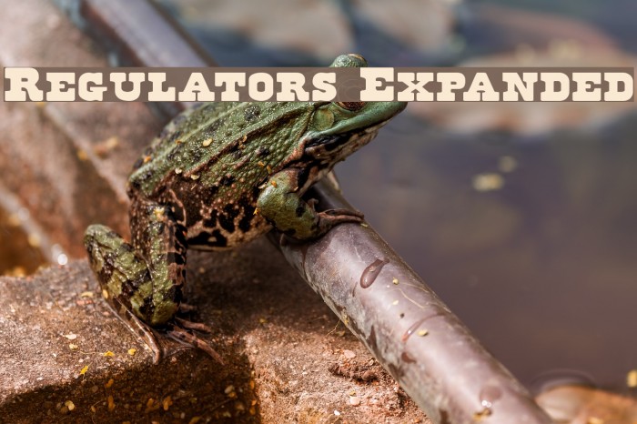 Regulators Expanded Font examples