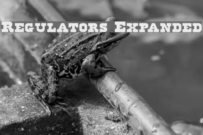 Regulators Expanded Fuentes examples