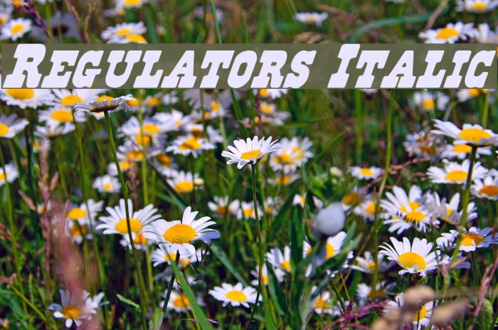 Regulators Italic Font examples