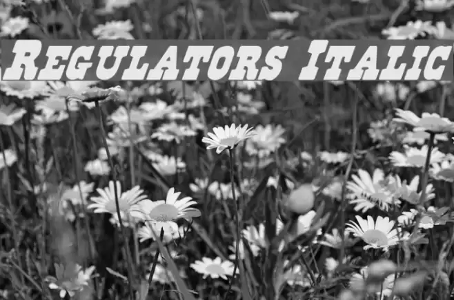 Regulators Italic Fonte examples