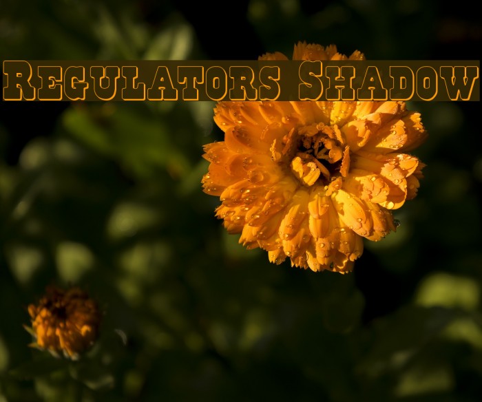 Regulators Shadow Font examples