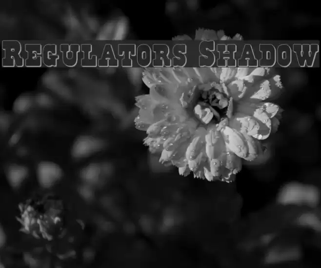 Regulators Shadow フォント examples