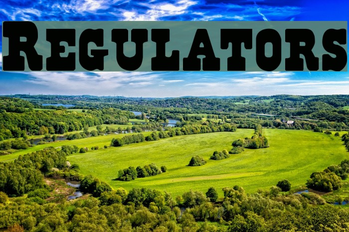Regulators Шрифта examples