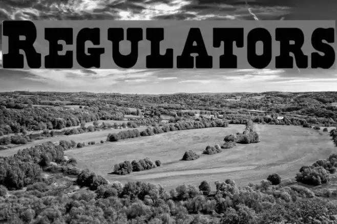 Regulators Шрифта examples