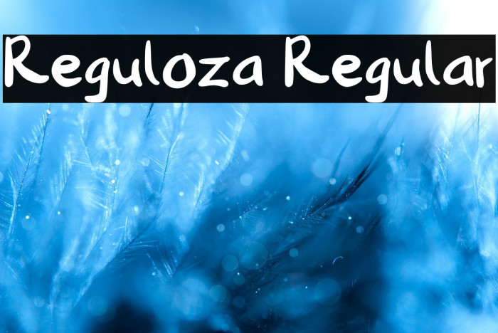 Reguloza Regular Example 1