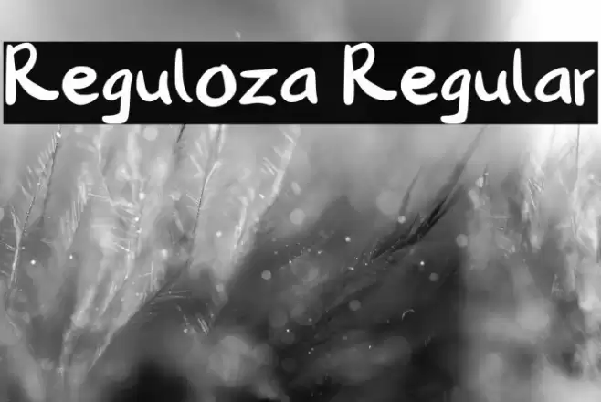 Reguloza Regular Font examples