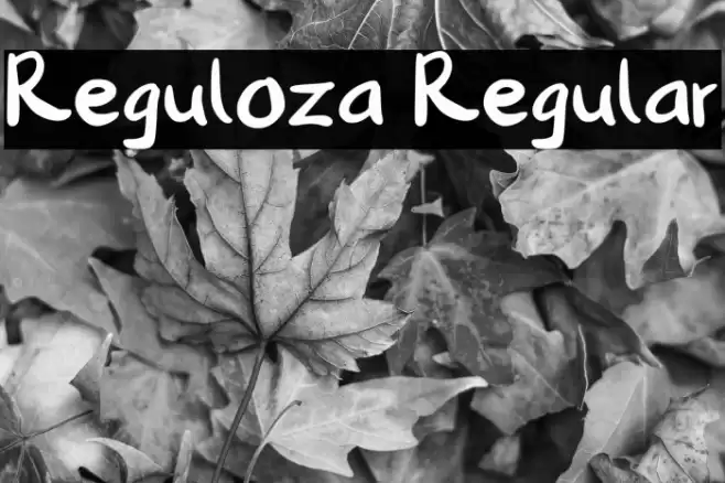 Reguloza Regular Font examples