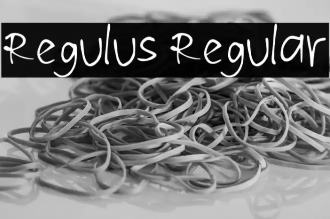 Regulus Regular Font examples
