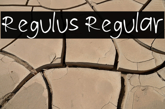 Regulus Regular Font examples